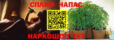 спайс Донской