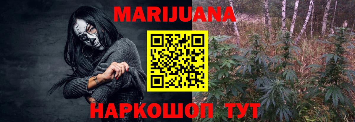 Бошки марихуана White Widow  Вход с VPN  Бошки марихуана планчик  Магадан 